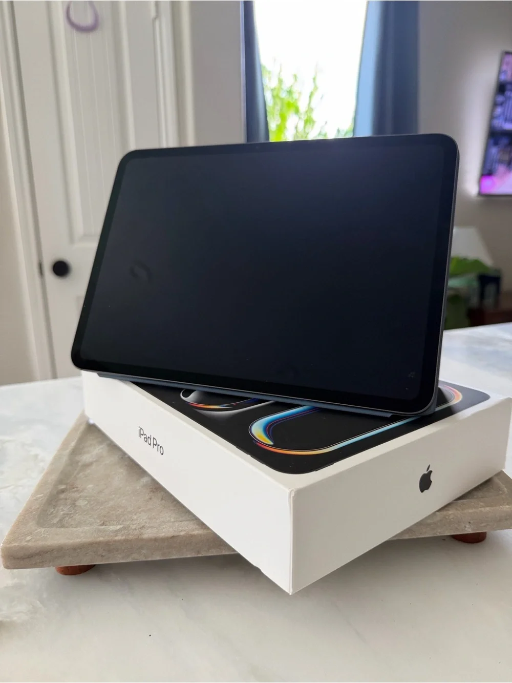 Apple iPad Pro 11inch  (512 GB) (WiFi Only) - with Apple ipad Case